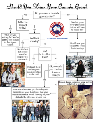 Cover image for Should You Wear Your Canada Goose Today? 