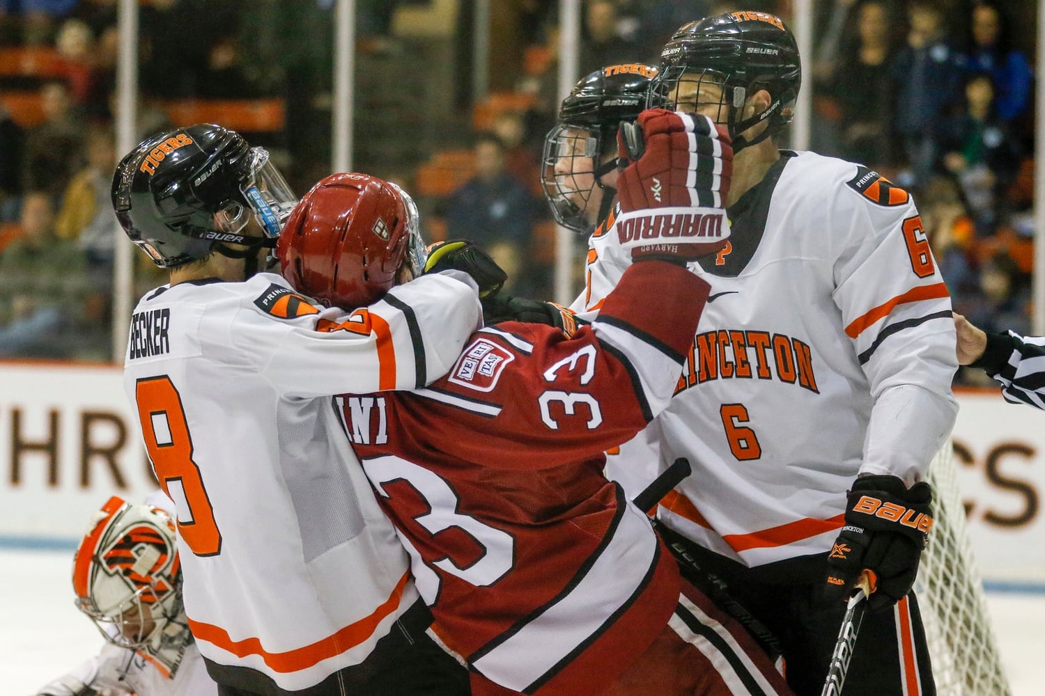 Things got chippy after the whistle on Saturday night. Here, freshman forward Jack Badini receives a healthy face wash from Princeton's Max Becker after trying to dislodge a puck from net-minder Ryan Ferland.