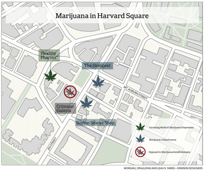 Cover image for Marijuana in Harvard Square