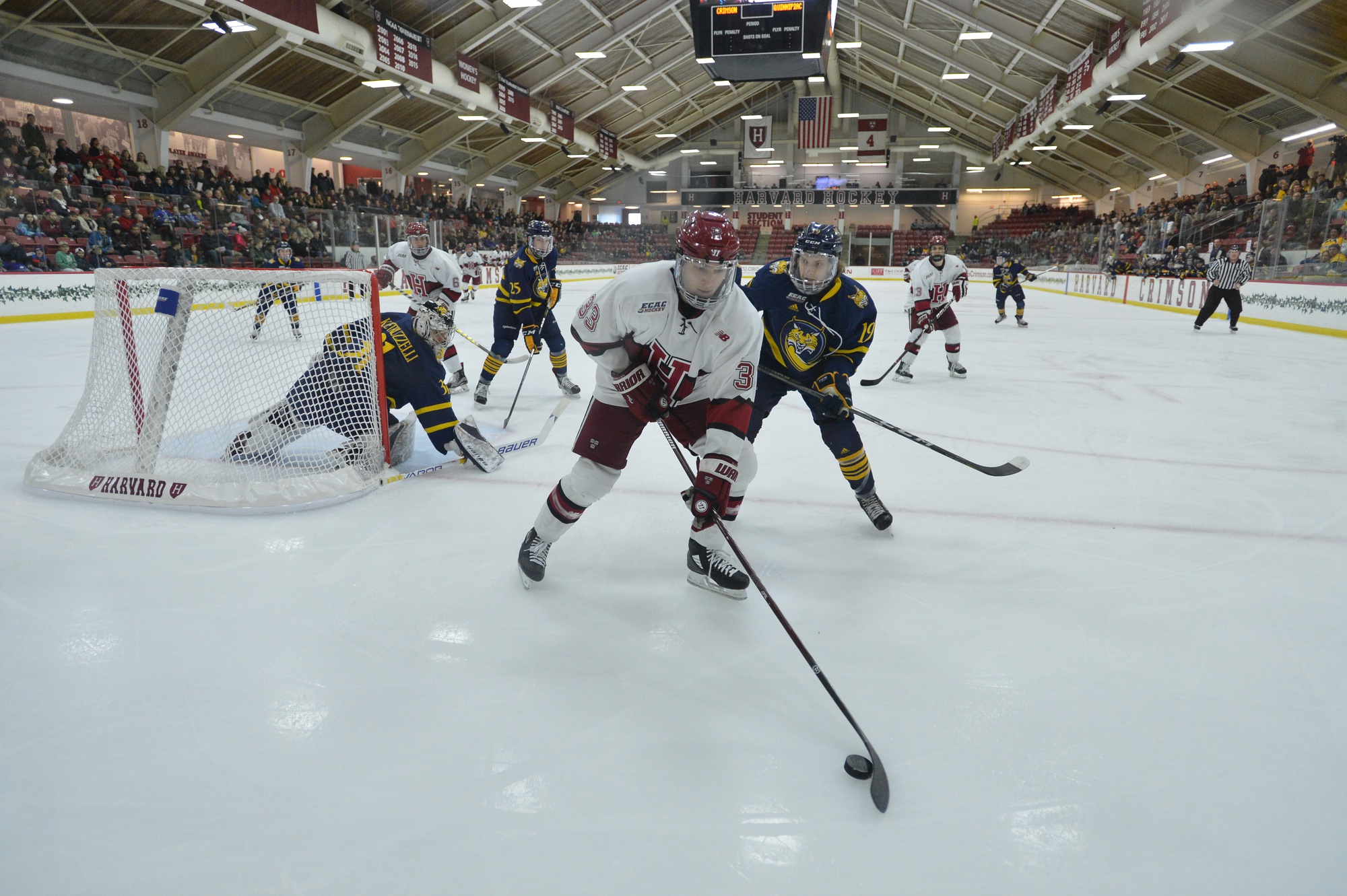 Freshman forward Jack Badini finished with two strikes on the weekend and has played at a point-per-game pace over his last five contests (3-2—5).