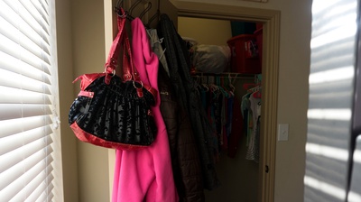 Cover image for Purse for Play
