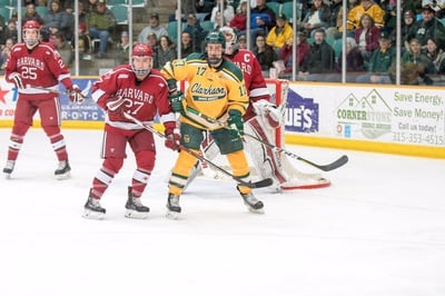 Cover image for Goaltender's Nightmare
