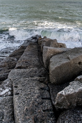 Cover image for Into the Sea
