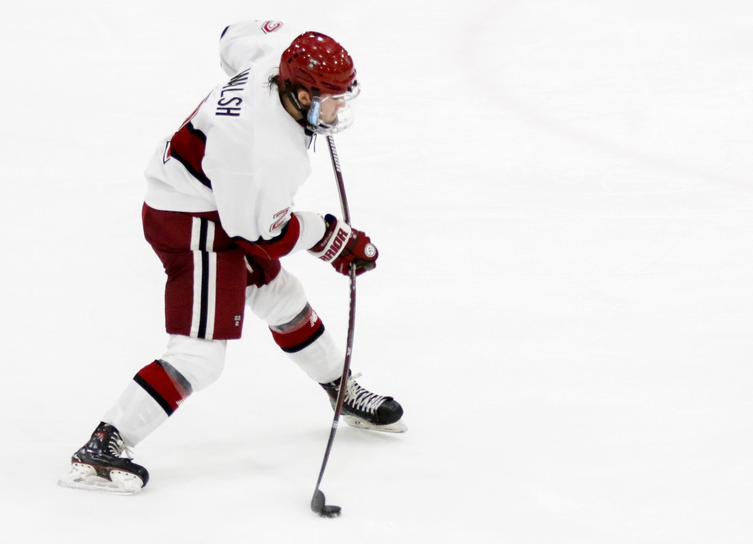 Despite plenty of attempts from Harvard's defensive corps, including wristers from the point by Reilly Walsh (pictured here), the Crimson struggled to cash in on what few rebounds Colton Point left out in front of him.