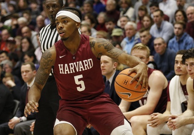 Cover image for Harvard's Shamrock