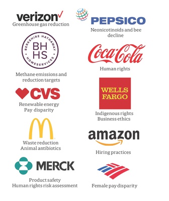Cover image for Shareholder Responsibility