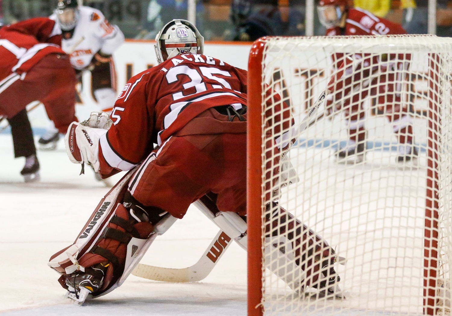Junior net-minder Michael Lackey was back between the pipes on Friday at Brown. The goalie situation for the Crimson remains unclear as the team heads into its final regular season game before the ECAC bye week.