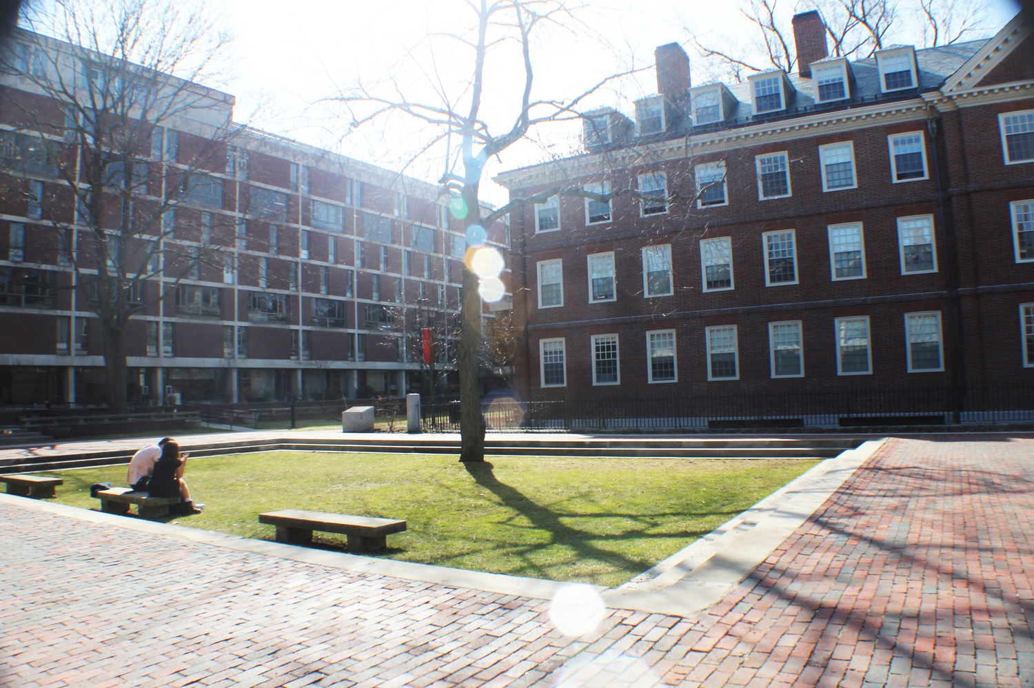 Quincy House's courtyard in the sunshine.