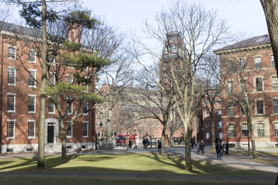 Cover image for The Yard Awaits Spring Break 
