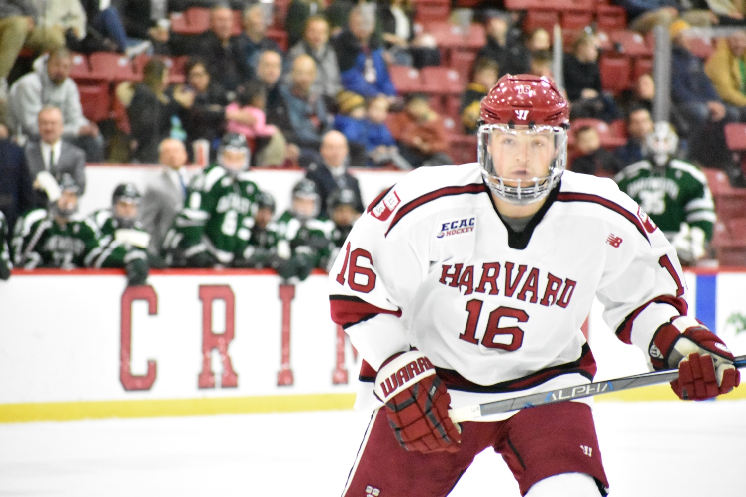 Though Donato has a family connection with Harvard hockey, he's similarly tied to the Bruins. His father, Crimson coach Ted Donato '91, was also a Bruin, and the Scituate, Mass. native can now play for his hometown team.