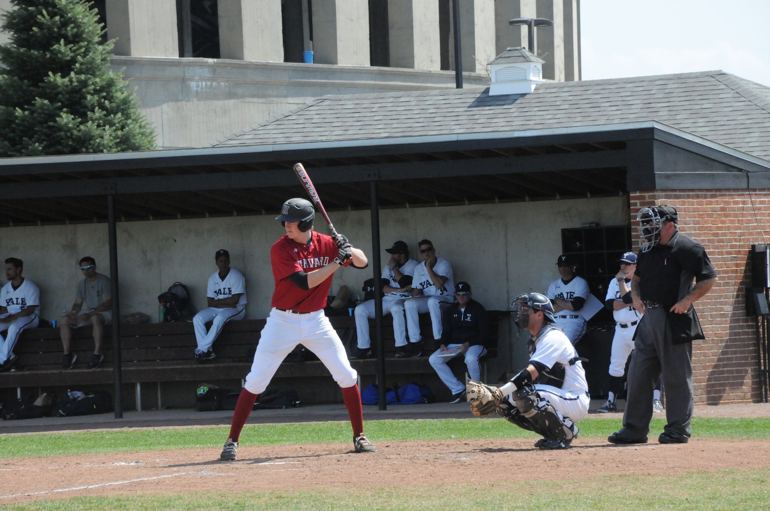 Junior Patrick McColl drove in five runs in Harvard's first win over Presbyterian.