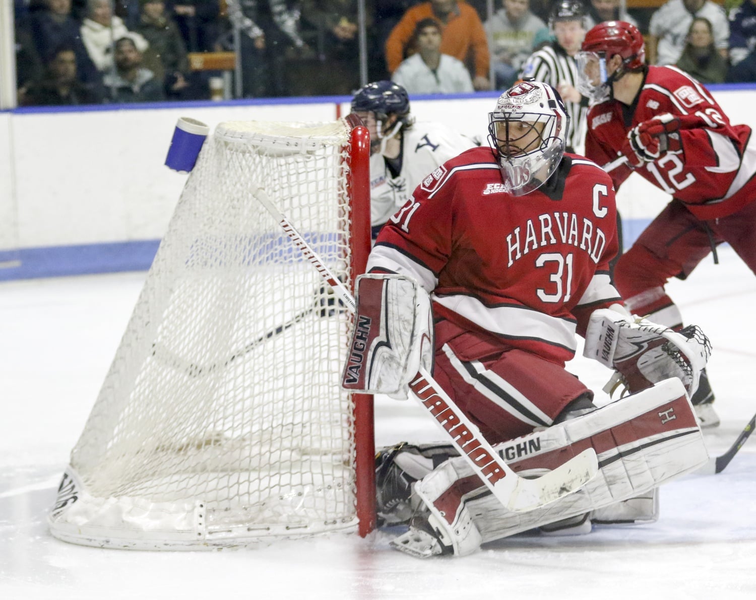 Madsen was coming off a season of personal bests too, starting all 36 games and still finishing the year with a stingy .923 save percentage.