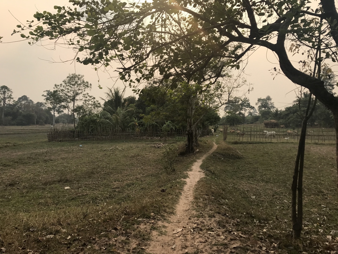 The fields near Botum Sakor, in southwestern Cambodia.