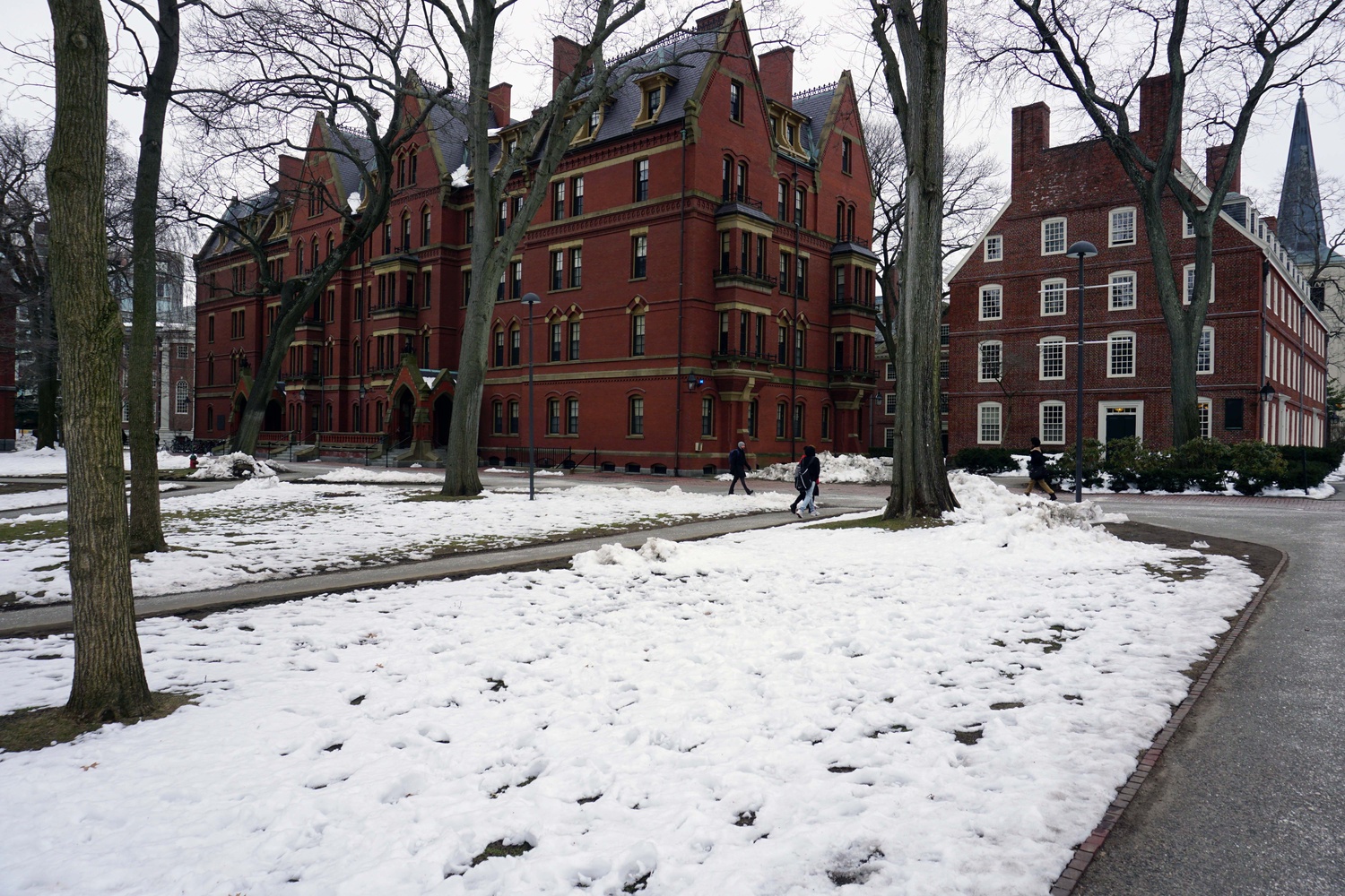 With a week of cold temperatures, Harvard Yard is still covered in frozen snow despite the onset of spring.