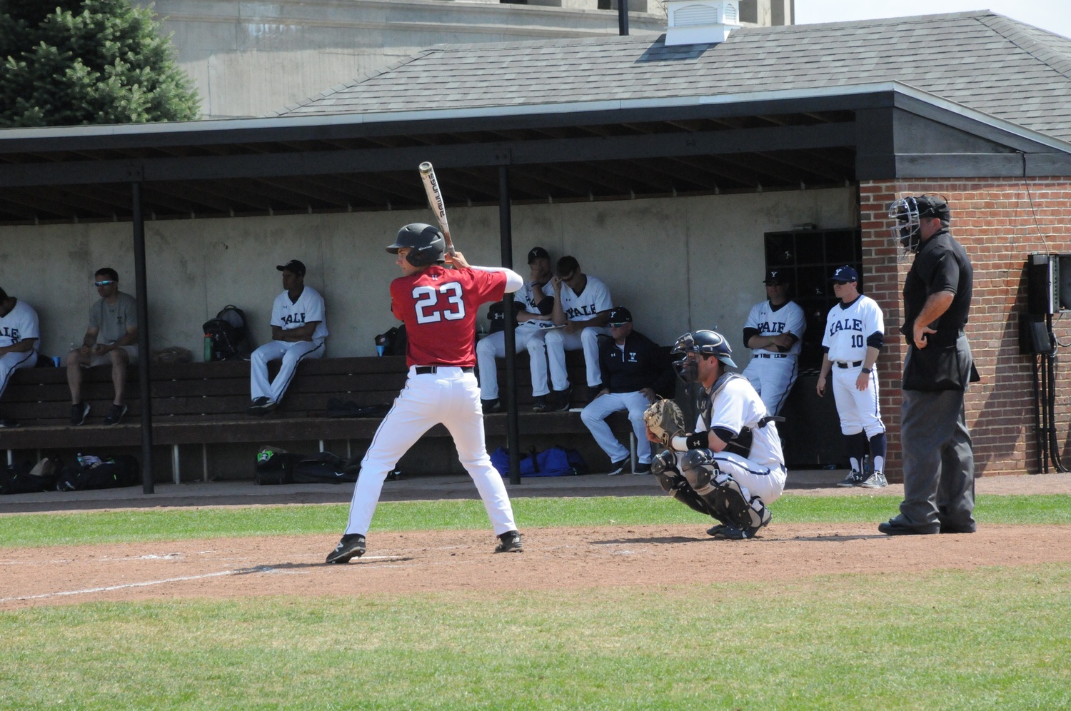 Sophomore infielder Quinn Hoffman readies for a pitch last year against Yale at O'Donnell Field.