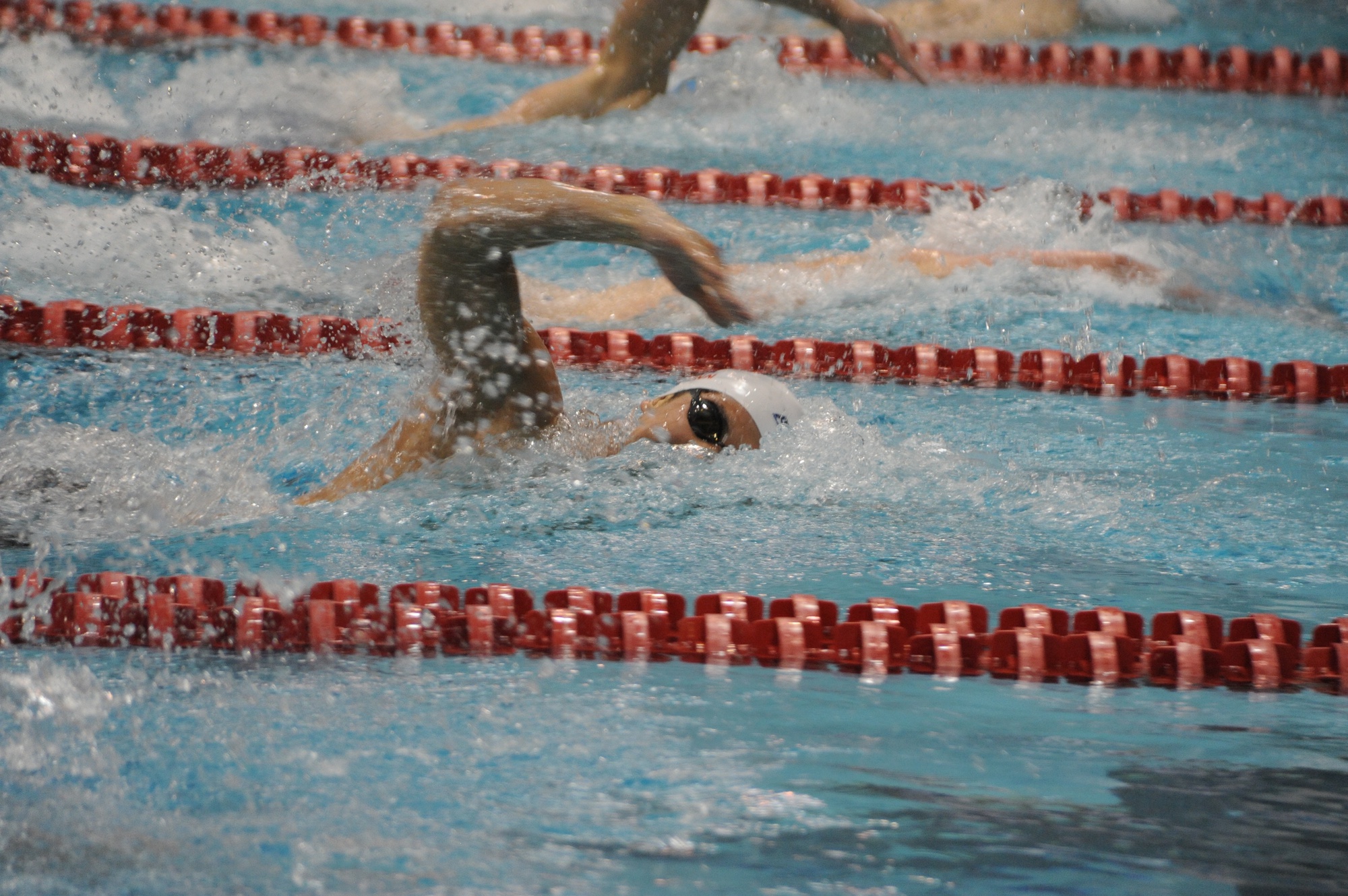 The undefeated men's swimming and diving team earned eight All-American awards and 18th place at the 2018 NCAA Championships.