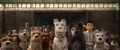 Cover image for 'Isle of Dogs' still