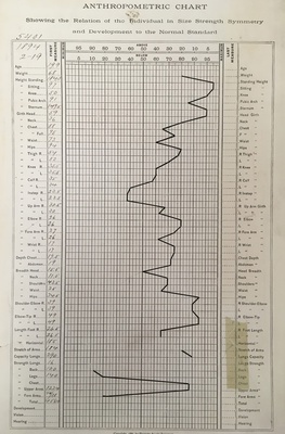 Cover image for Anthropometric Chart