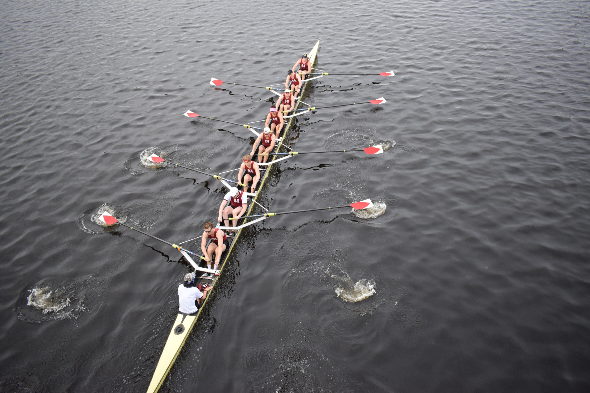 Harvard's various crews continue to rack up cup wins and top finishes during the spring season.