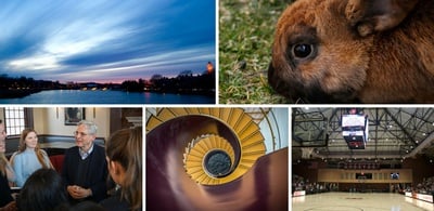 Cover image for This Week in Photos Apr 9