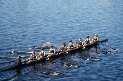 Cover image for Chopping It Up