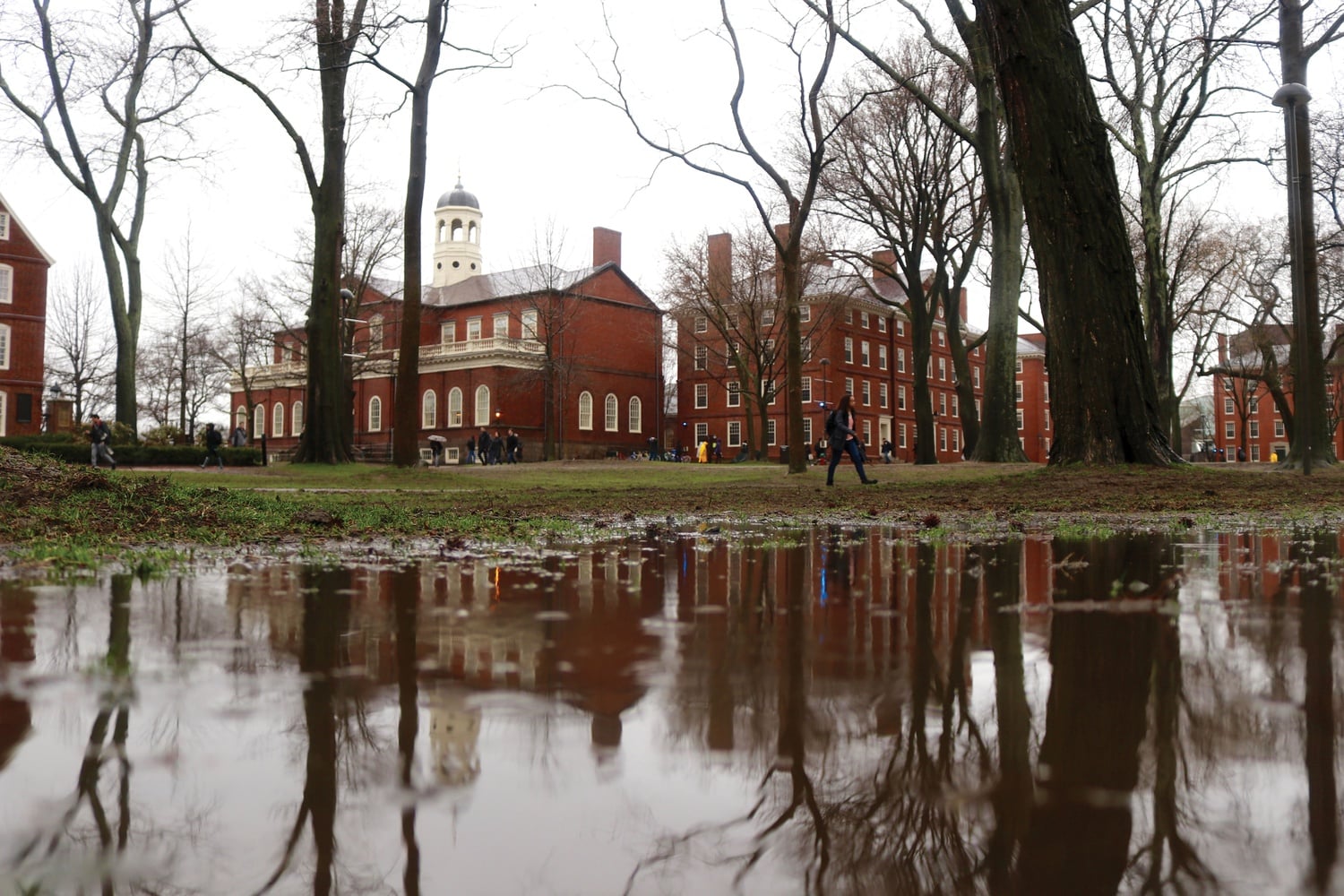 Harvard Yard pictured after a bout of afternoon rain.