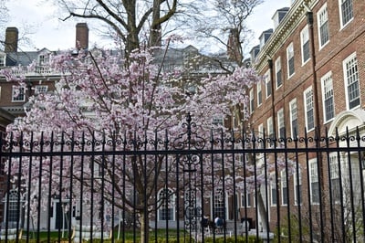 Cover image for Spring Has Sprung
