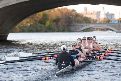 Cover image for Golden Girls