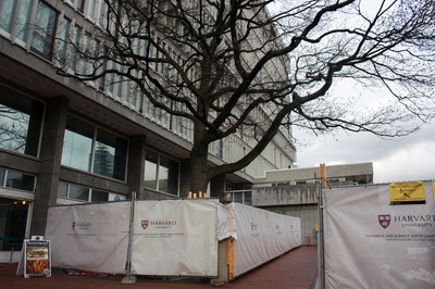 Cover image for Harvard Replants Trees at Smith Campus Center
