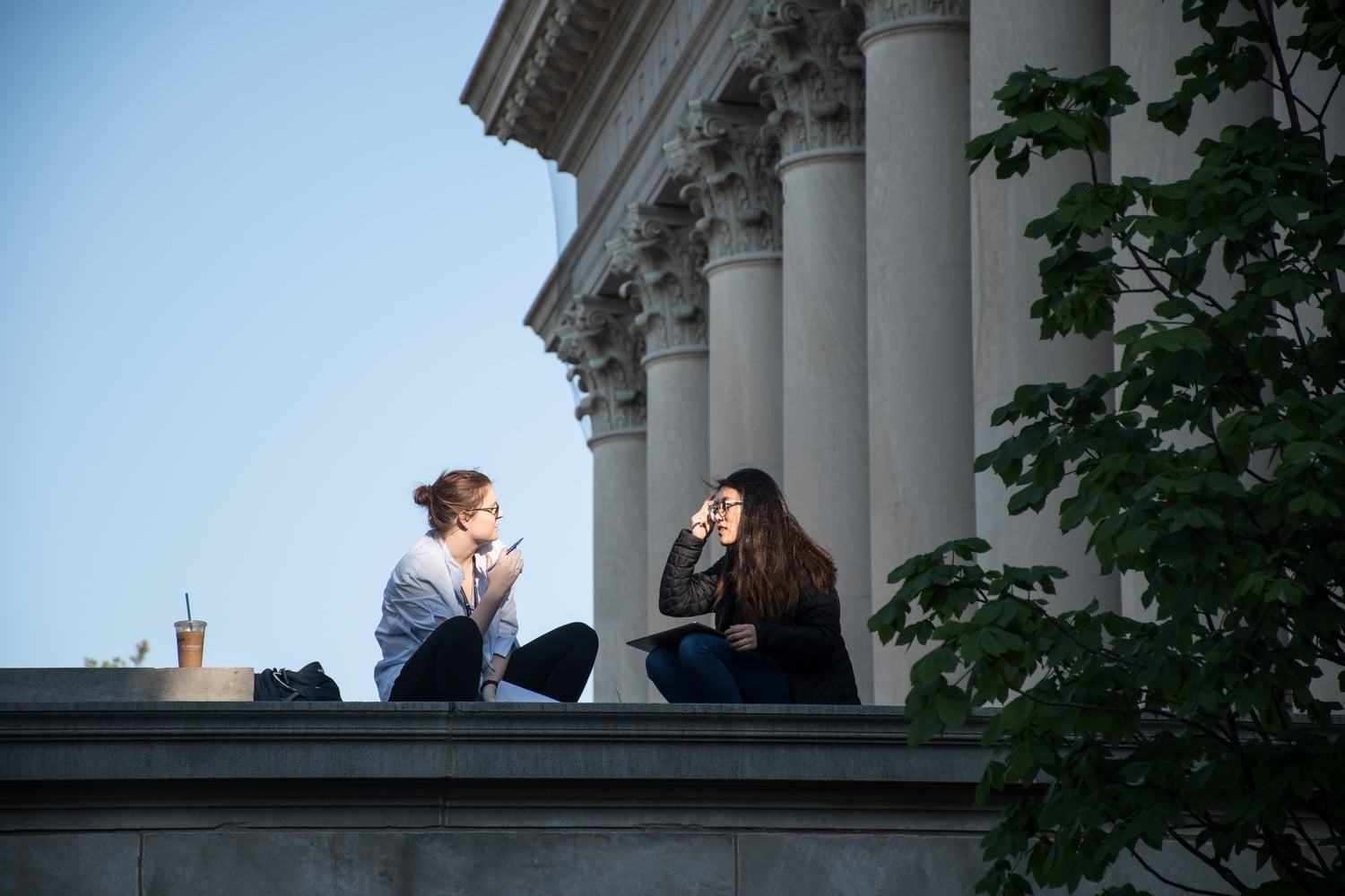 Several Harvard libraries will offer pickup services after a months-long hiatus.