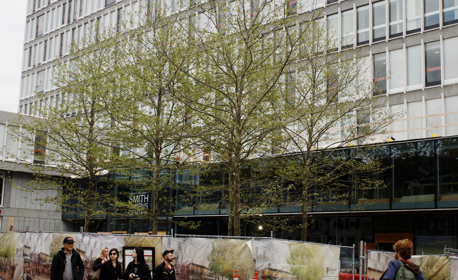 The Smith Campus Center renovations continue with the recent addition of trees.