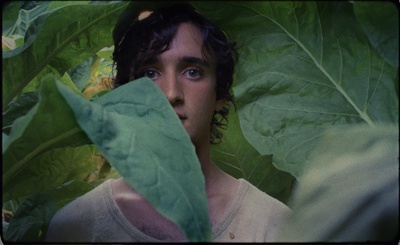 Cover image for 'Lazzaro Felice' still