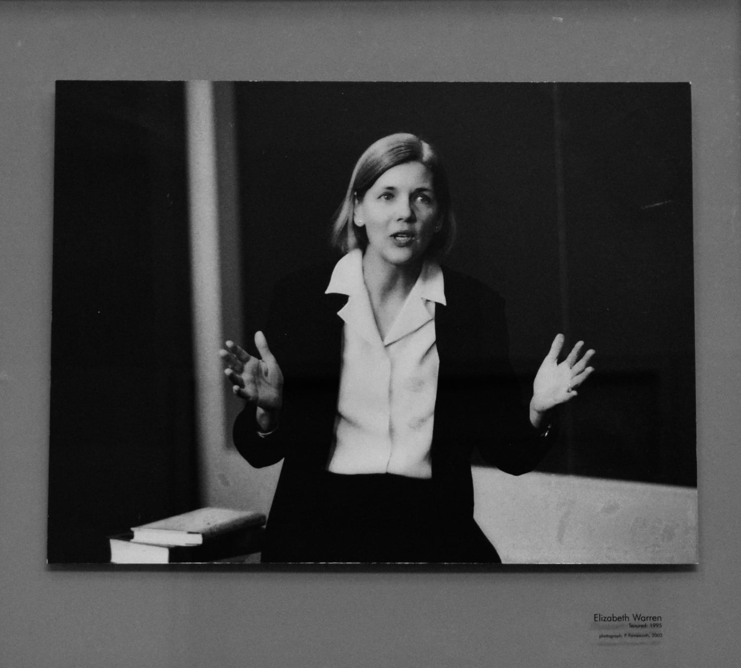 The faculty of Harvard Law School voted to offer Elizabeth Warren tenure in 1993. 