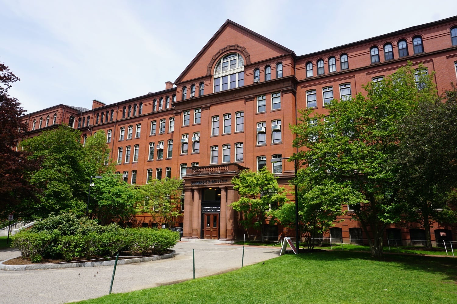 The Harvard Mineralogical Museum was the site of the heist. 