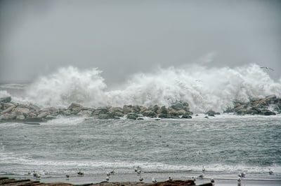 Cover image for The Rising Tide