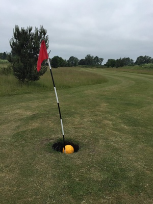 Cover image for Summer Postcard: Footgolf, The American Sport