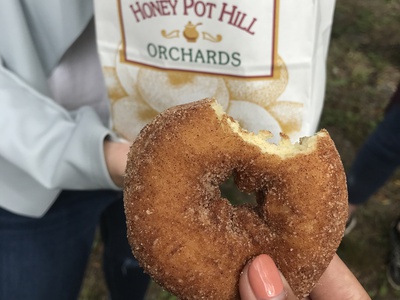 Cover image for Cider Donut