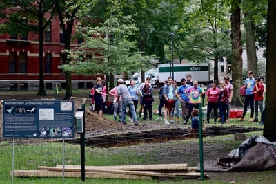 Cover image for Dig in the Yard