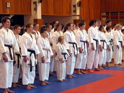 Cover image for The Karate Girl