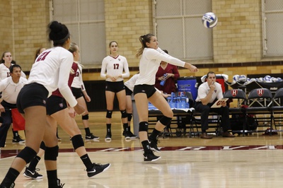 Cover image for Women's Volleyball Drops Matches to Cornell, Columbia