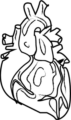 Cover image for Don't Go Breaking My Heart