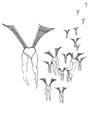 Cover image for lavender portfolio