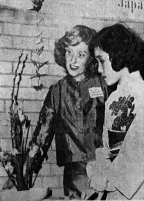 Cover image for Harvard Wives