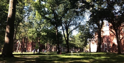 Cover image for Harvard Archivists Scramble to Document Daily Life Amid Pandemic