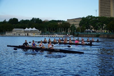 Cover image for Crazy Eights