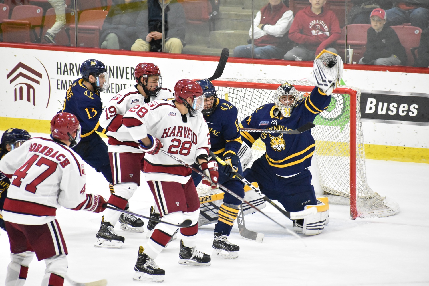 As the Crimson piled on 37 shots through 60 minutes, Quinnipiac goaltender Keith Petruzzelli —who is unbeaten through five games — kept his cool.