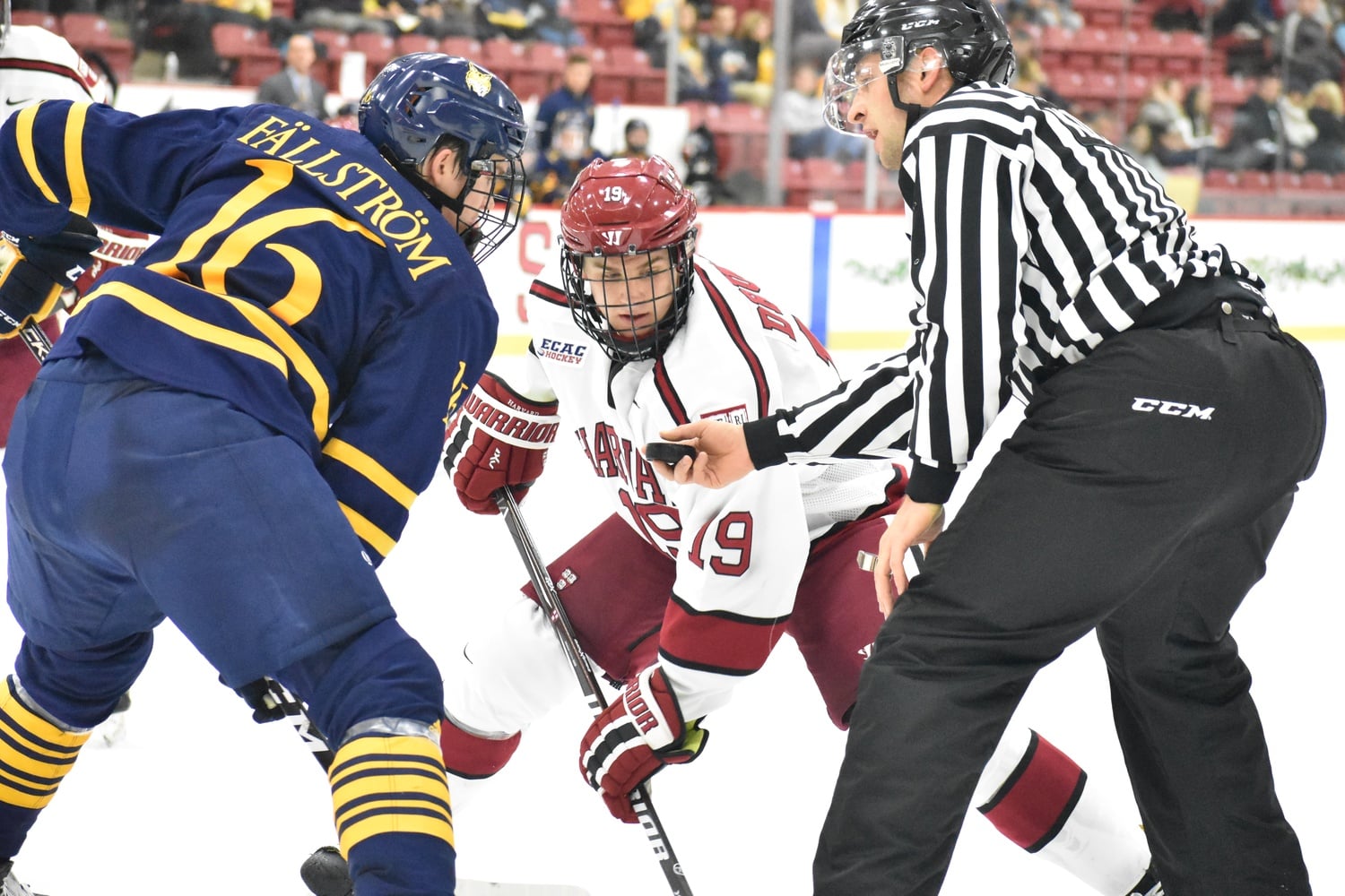 Shuffling of the lines after last weekend's loss against Dartmouth saw rookie Jack Drury centering the team's top line, alongside freshman Casey Dornbach and sophomore Henry Bowlby.
