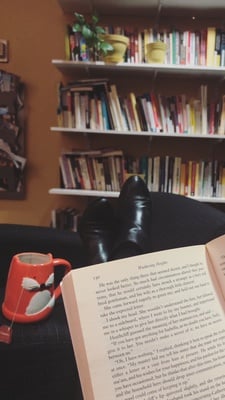 Cover image for Top Five Reads to Cuddle Up with This November