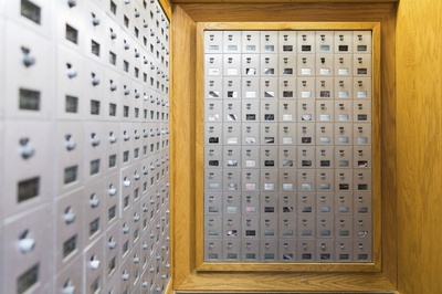 Cover image for Days After Midterm Elections, Some Students Still Hadn’t Received Ballots