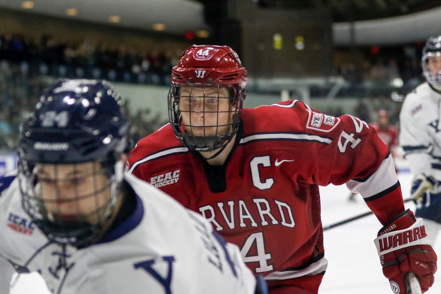 The Crimson and Bulldogs were engaged right from the opening puck drop. Harvard co-captain Michael Floodstrand (pictured) was one of many players to be involved in the physicality early on.
